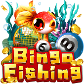 Bingo Fishing - Responsible gambling