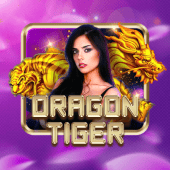 Dragon Tiger - Responsible gambling