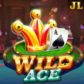 Wild Ace - Responsible gambling