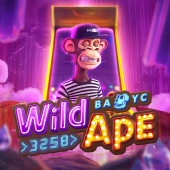 Wild Ape - Responsible gambling